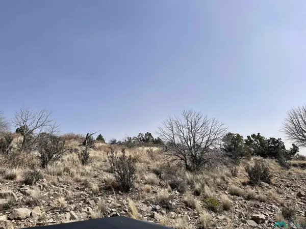 429 Perch Dr Drive, Timberon, NM 88350
