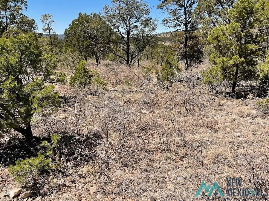 239 Anders Road, Timberon, NM 88350 - Image #3