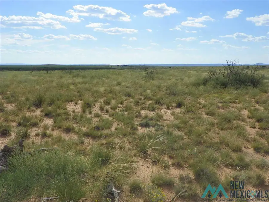 7 Quay Road Ai, Tucumcari, NM 88401 - #2