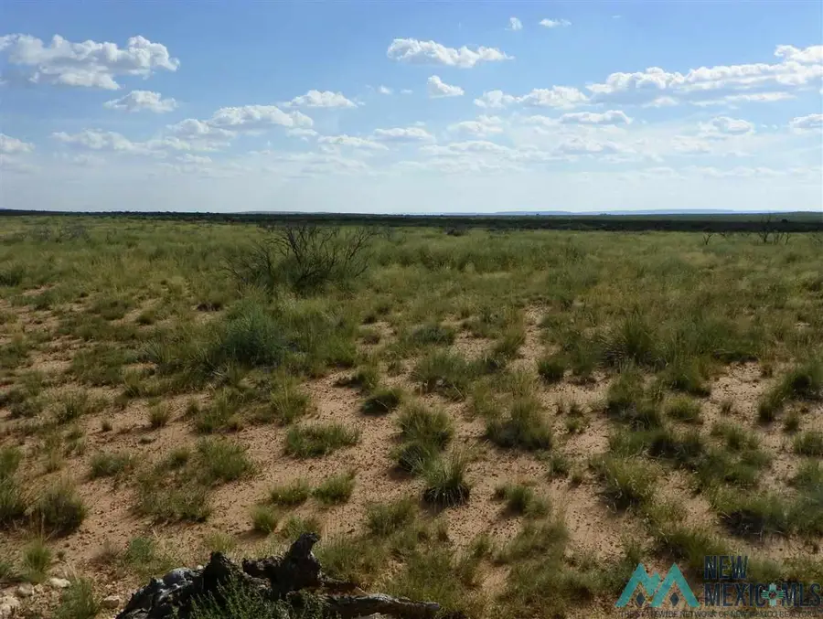 7 Quay Road Ai, Tucumcari, NM 88401 - #3