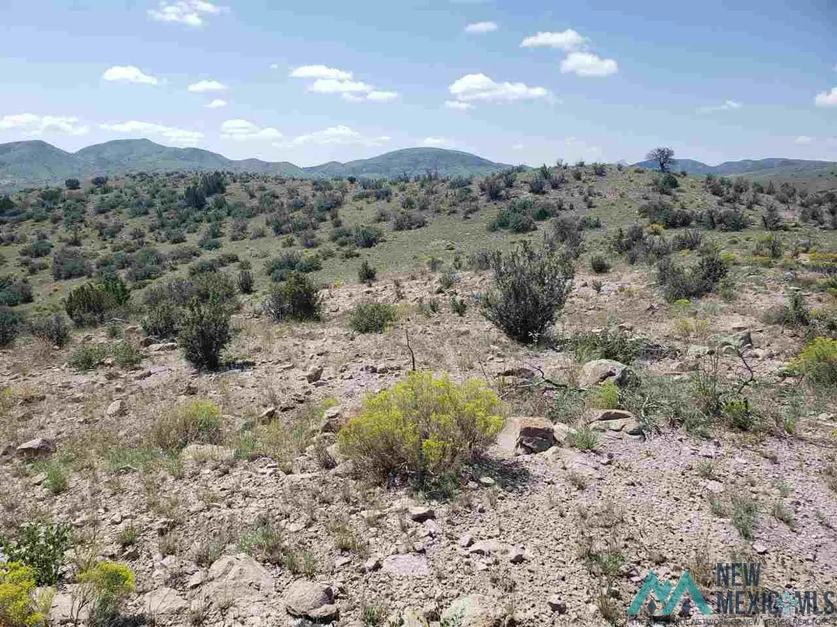 #8 Child Of Water, Truth Or Consequences West, NM 88042 - Image #1