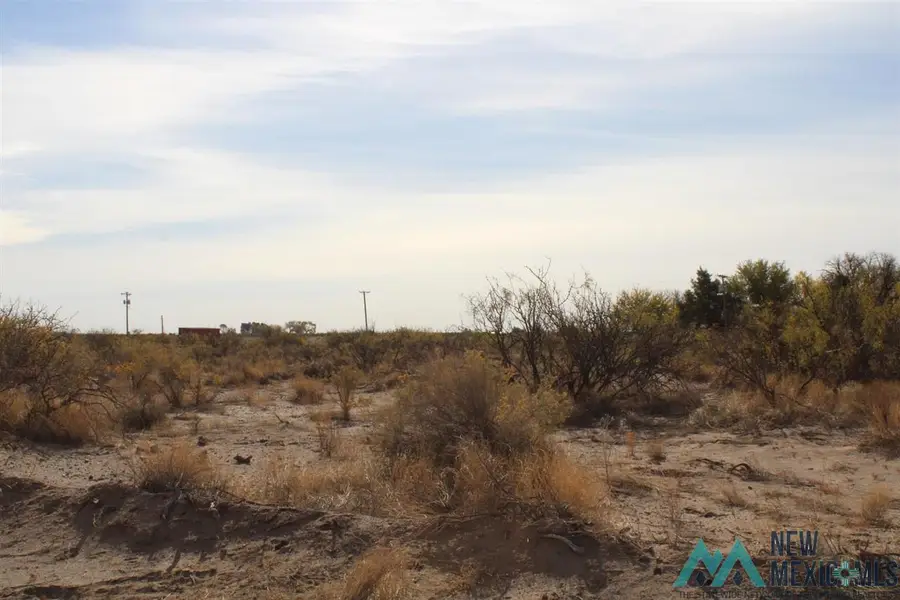 Dr Unit 78 Bk 15 Lots 1-4, Deming, NM 88030 - Image #2