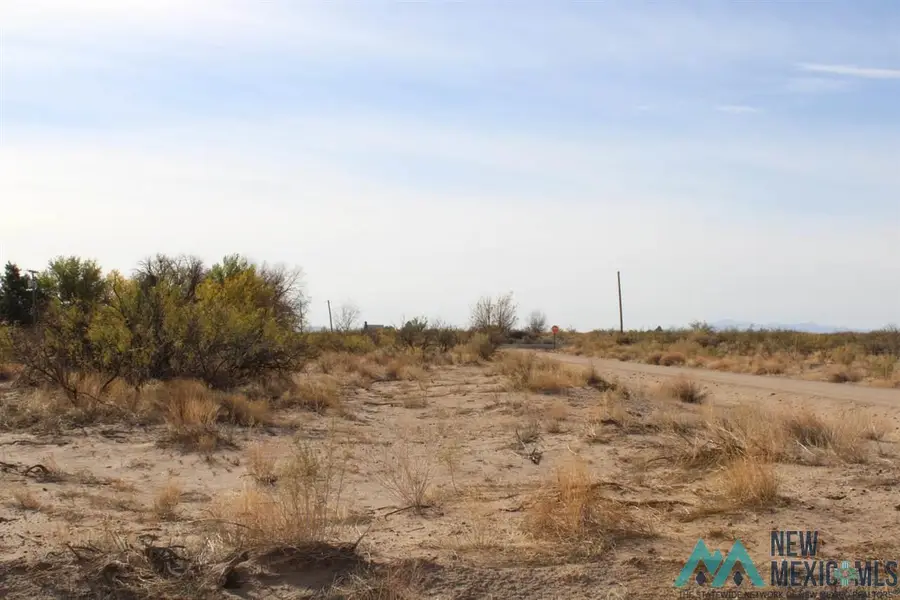 Dr Unit 78 Bk 15 Lots 1-4, Deming, NM 88030 - Image #3