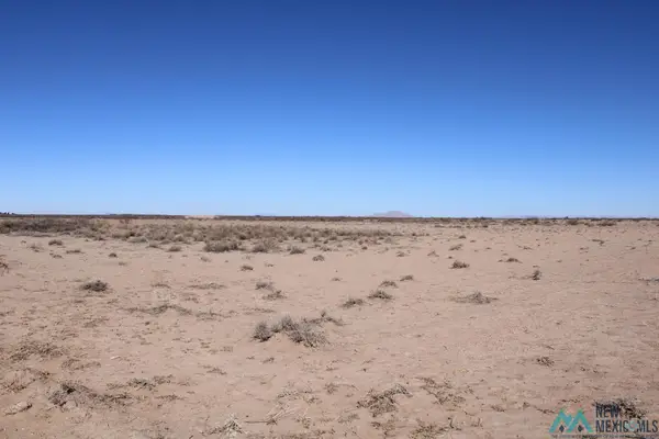 Dr Unit 71, Deming, NM 88030