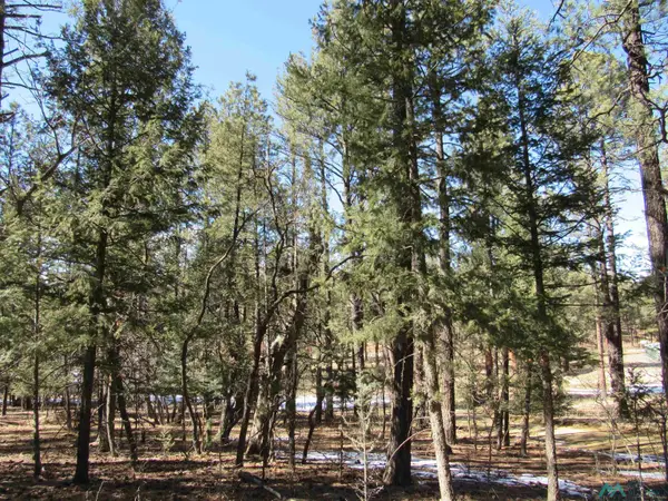 44 W Forest Dr Road, Rociada, NM 87742
