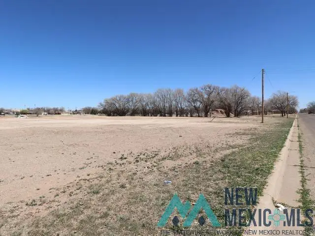 1312 Jones, Clovis, NM 88101 - #3