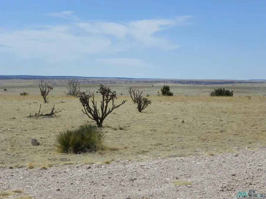 0000 Pecos Spur, Santa Rosa, NM 88435 - Image #2