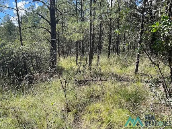 52 Oakmont Drive, Timberon, NM 88350