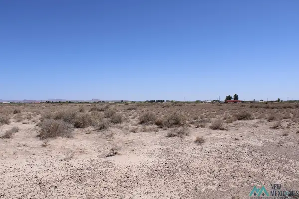 San Augustine Rd Se, Deming, NM 88030