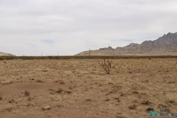 Enchanted View Rd Se, Deming, NM 88030