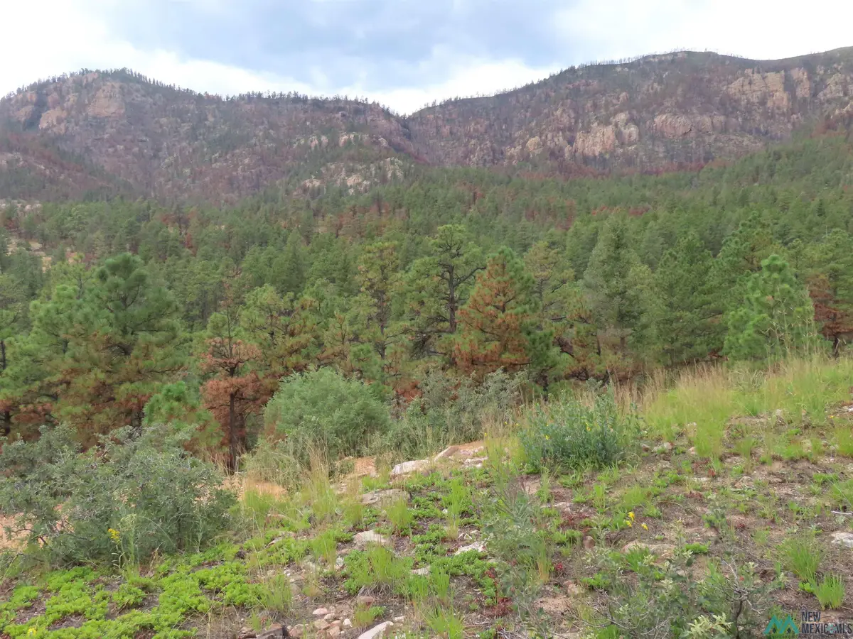 1045 ac Ctc Ranch Canyon Road, Mora, NM 87732 - Image #1