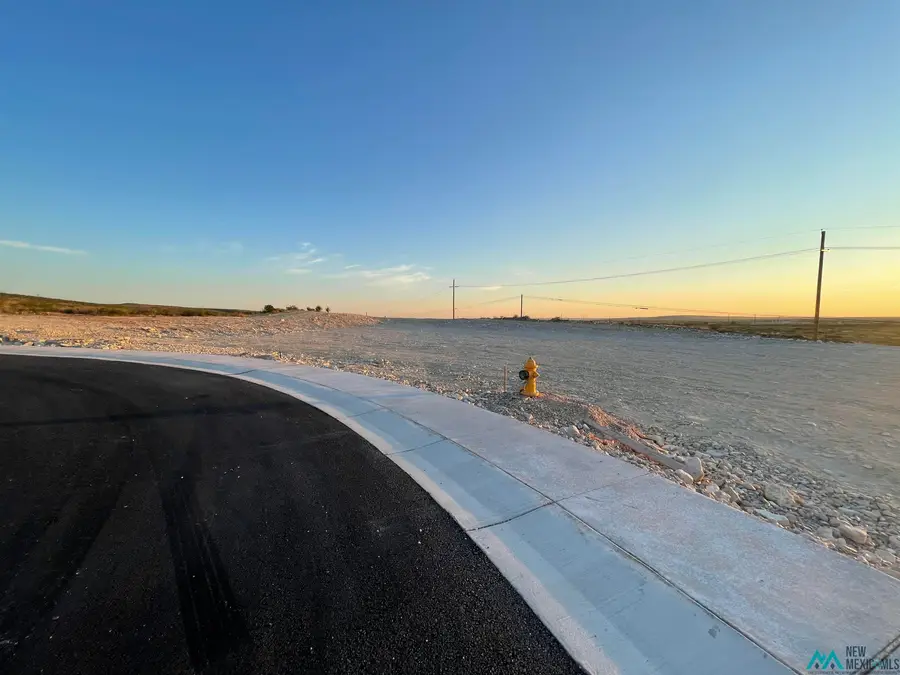 1601 Skyline Drive, Carlsbad, NM 88220 - Image #2