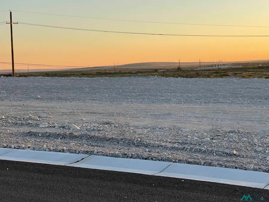 1601 Skyline Drive, Carlsbad, NM 88220 - Image #3