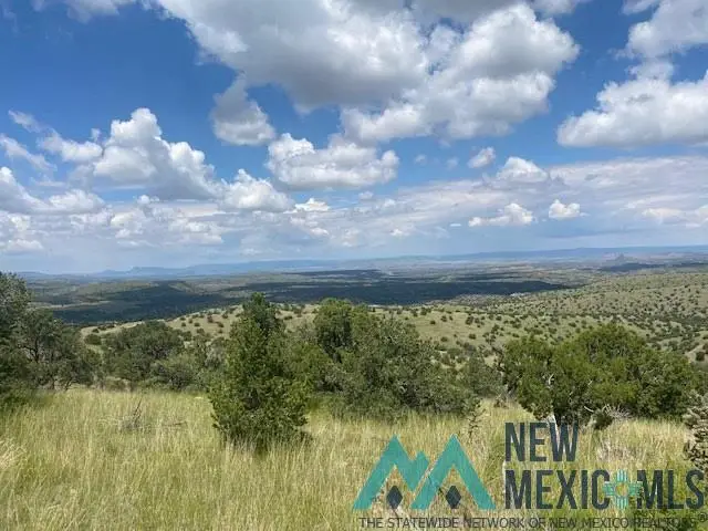 123 Ridge View Road, Magdalena, NM 87825 - Image #2