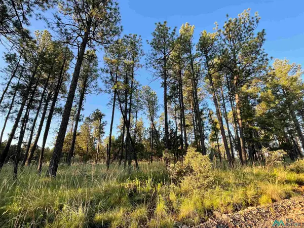Lot 117 Paradise Valley Drive, Timberon, NM 88350