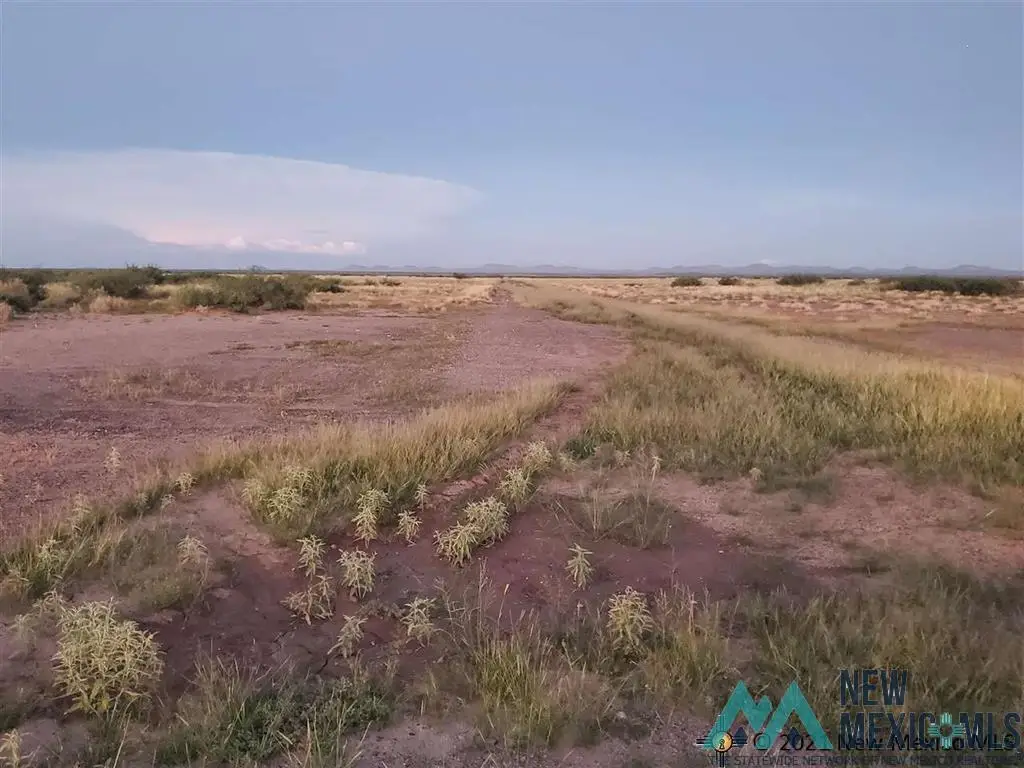 00 Palo Verde Rd Se Road, Deming, NM 88030 - #1