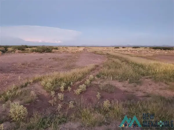 00 Palo Verde Rd Se Road, Deming, NM 88030