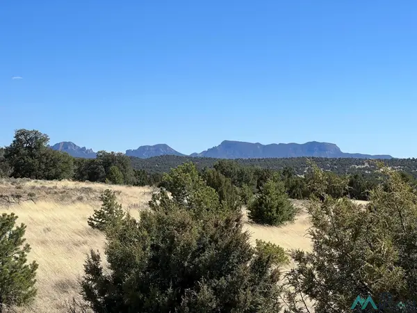 89 Ponderosa Views Loop, Pie Town, NM 87827