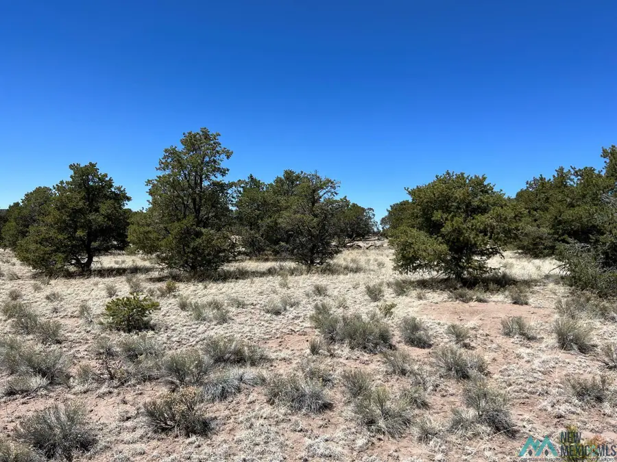 89 Ponderosa Views Loop, Pie Town, NM 87827 - Image #2