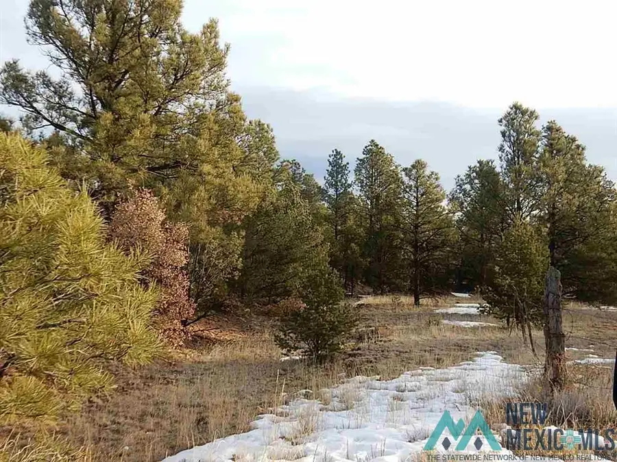 TBD County Rd 13, Buena Vista, NM 87712 - Image #2