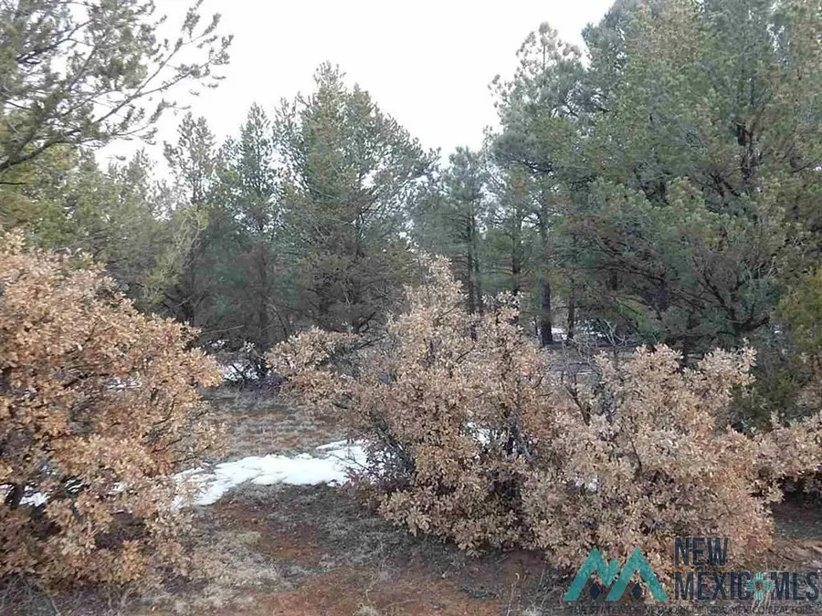 TBD County Rd 13, Buena Vista, NM 87712 - Image #3