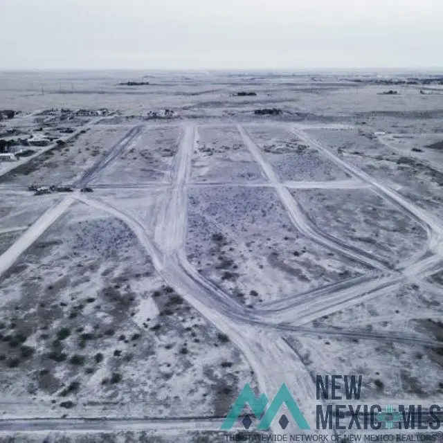 40 Desert Willow Estates, Artesia, NM 88210 - #3