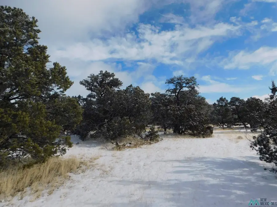 LOT 26 Spring Canyon Circle, Quemado, NM 87829 - Image #2