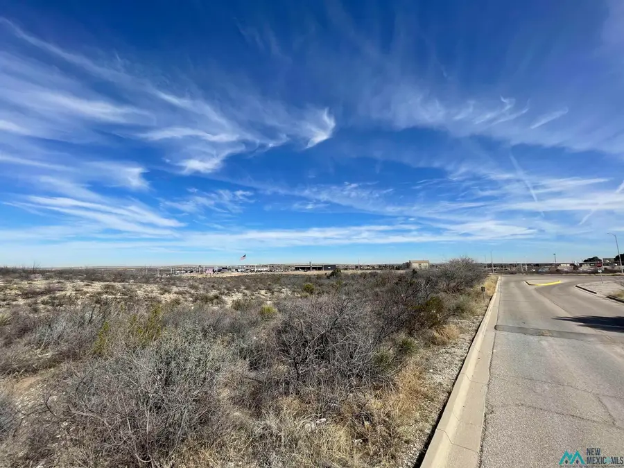 W 2802 W Pierce Street, Carlsbad, NM 88220 - Image #3