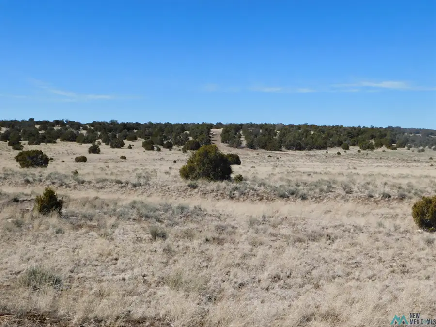 67 Bronco Boulevard, Quemado, NM 87829 - Image #2