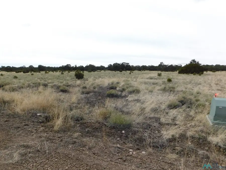 LOT 81 Artesian Avenue, Quemado, NM 87829 - Image #2