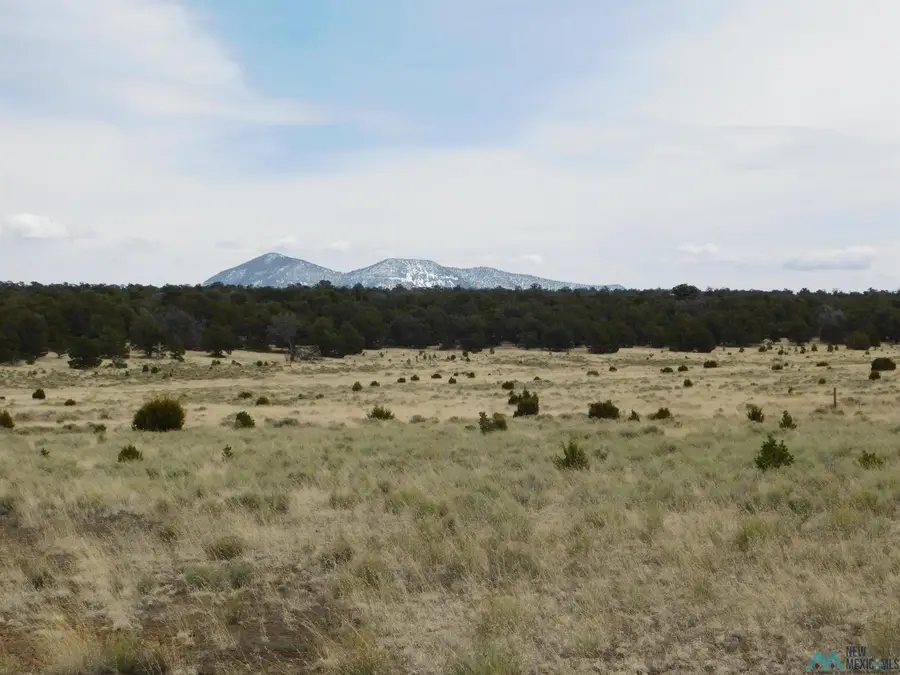 LOT 81 Artesian Avenue, Quemado, NM 87829 - Image #3