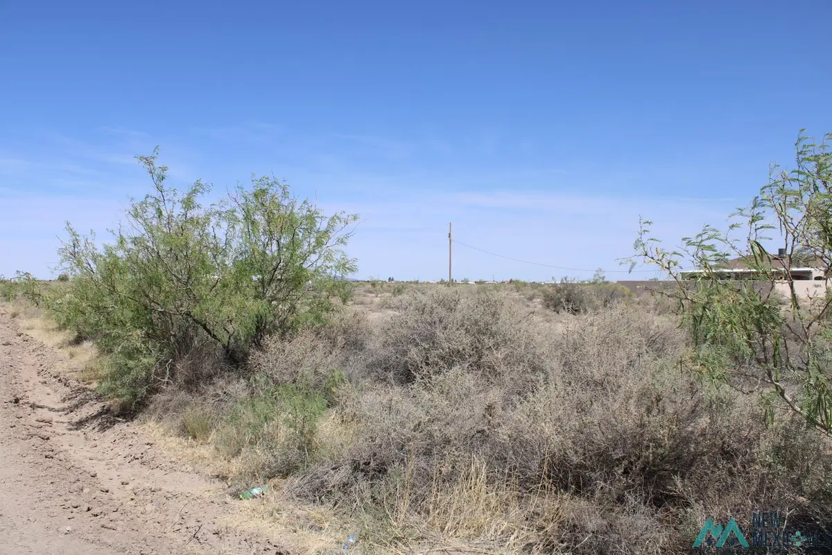 Amapola Rd, Deming, NM 88030 - Image #1