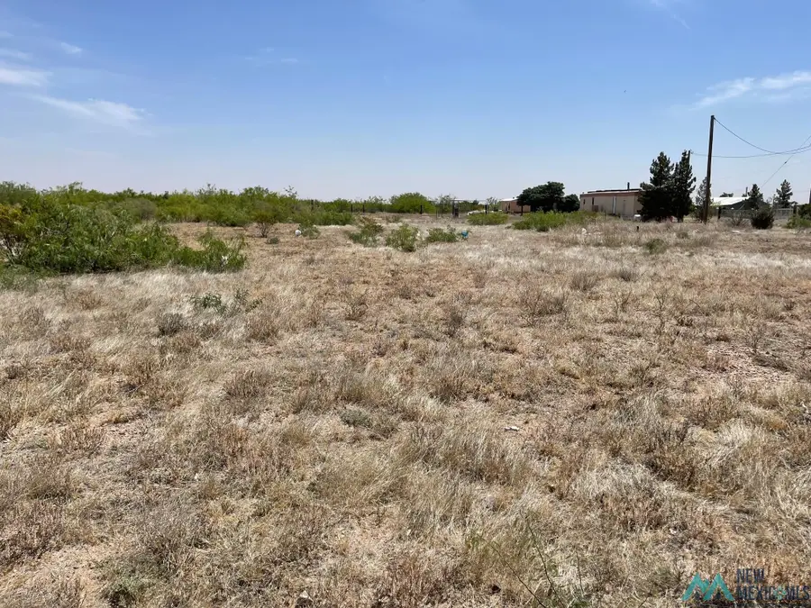 000 Missouri St, Columbus, NM 88029 - Image #3