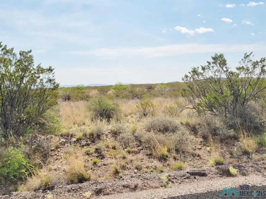 265 Champagne Hills Rd Road, Elephant Butte, NM 87935 - Image #3