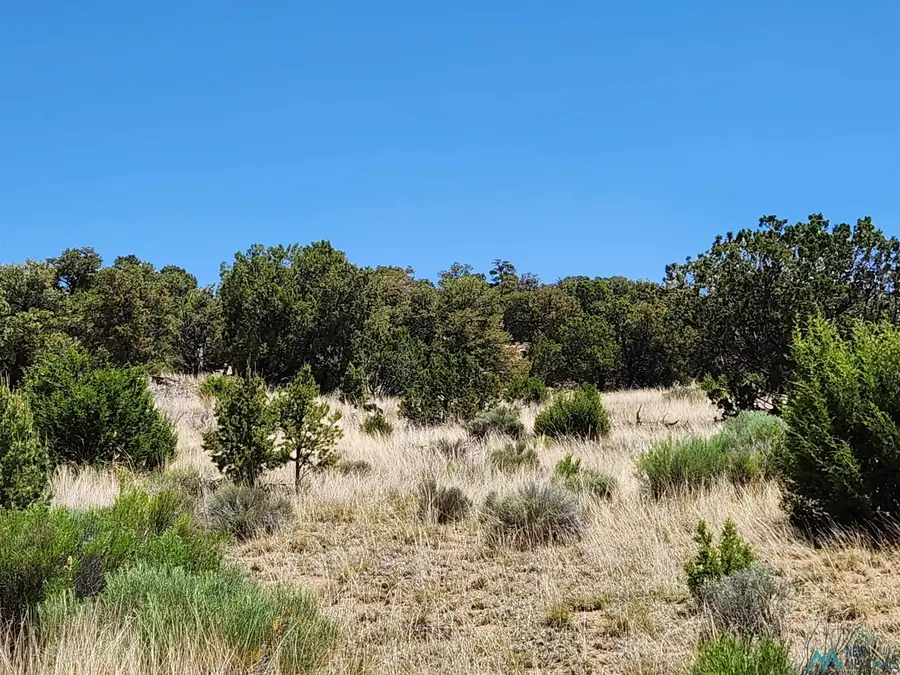 86 Ponderosa Ranches Path, Pie Town, NM 87827 - #2