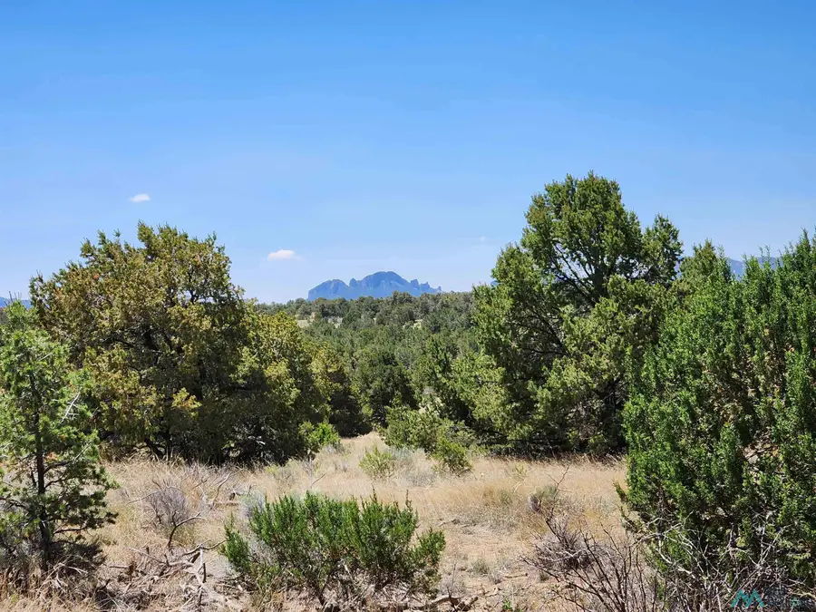 86 Ponderosa Ranches Path, Pie Town, NM 87827 - #3