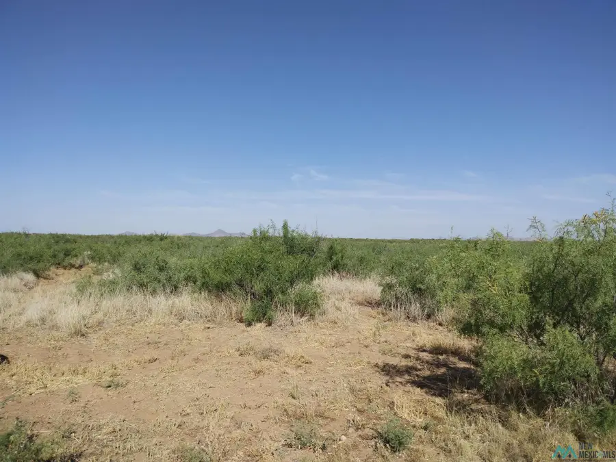 000 SW Pelayo Road, Deming, NM 88030 - Image #2