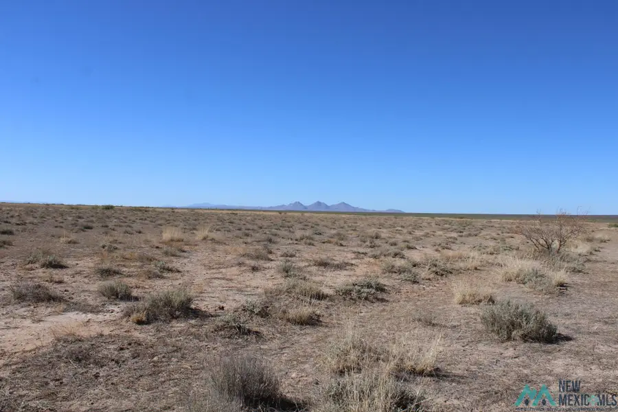 Esperanza Rd Se, Deming, NM 88030 - Image #2