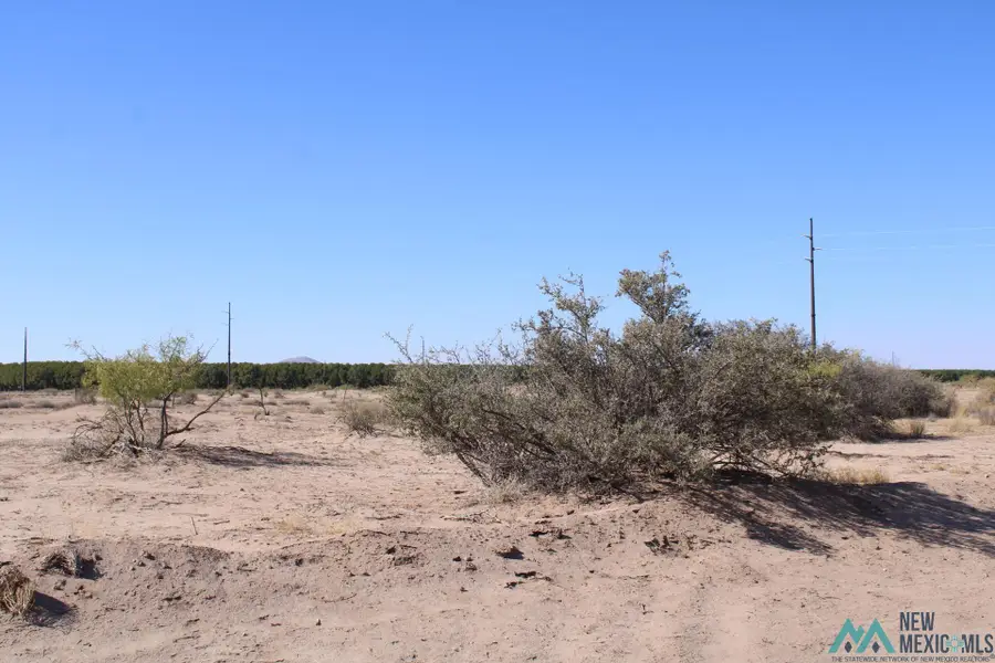 Feliz Rd Sw, Deming, NM 88030 - Image #2