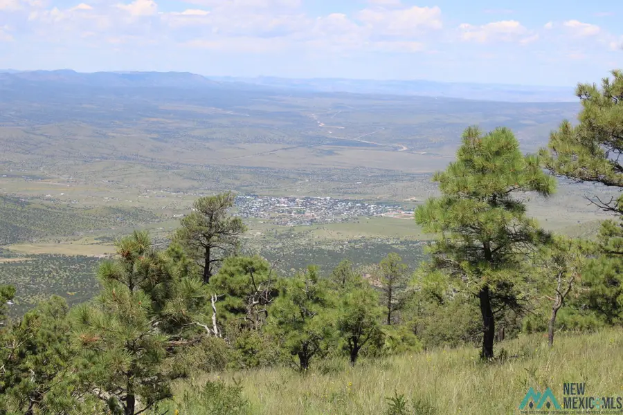 Magdalena Mountain Top, Magdalena, NM 87825 - #2