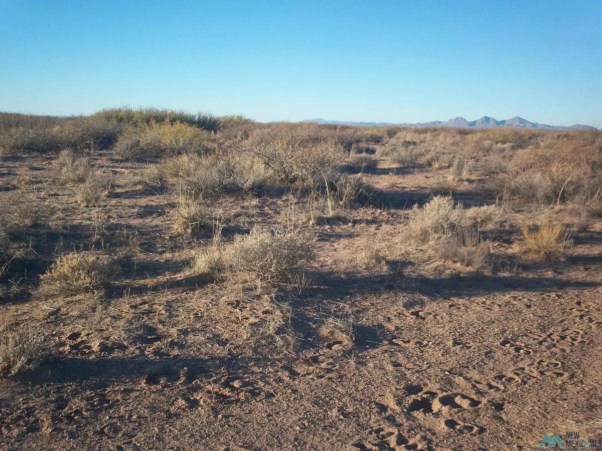 XXX Brisa Road Se Road, Deming, NM 88030 - #1