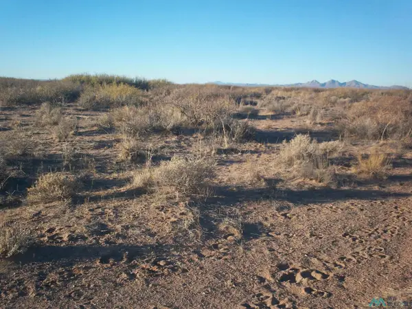 XXX Brisa Road Se Road, Deming, NM 88030