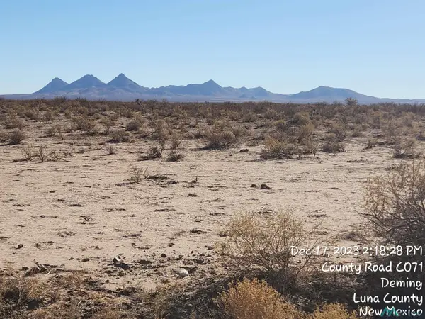 00 Madison Roads, Deming, NM 88030