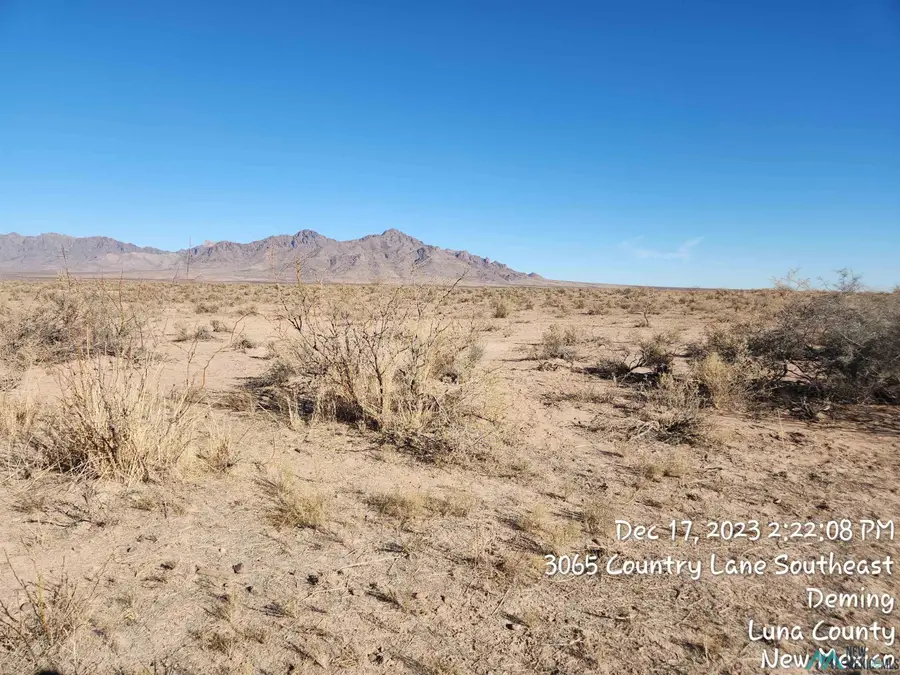 00 Madison Roads, Deming, NM 88030 - Image #2