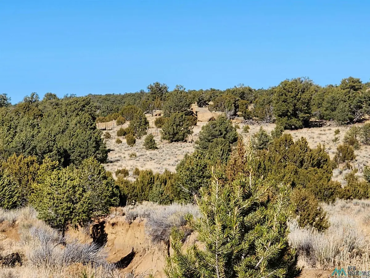 Ponderosa Ranches Trail Road, Pie Town, NM 87827 - Image #1