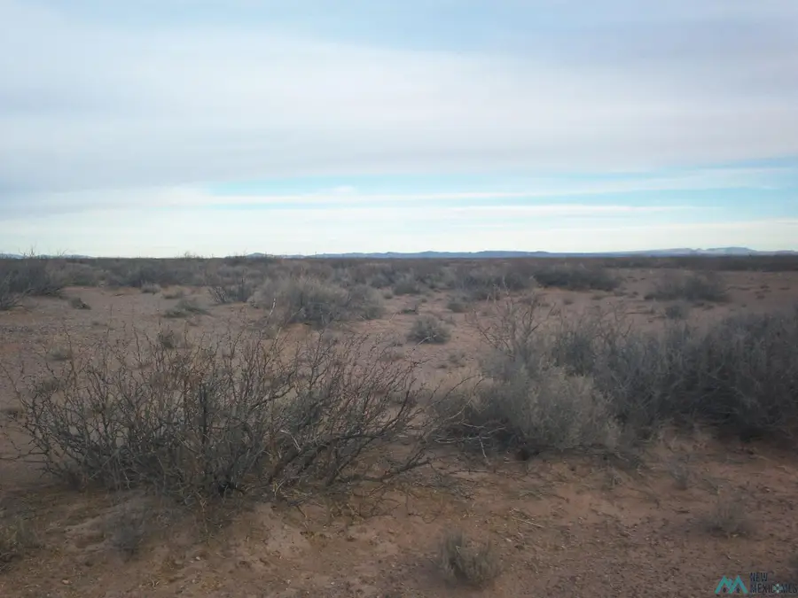 XXXX Cobre Road Se Road, Deming, NM 88030 - #2