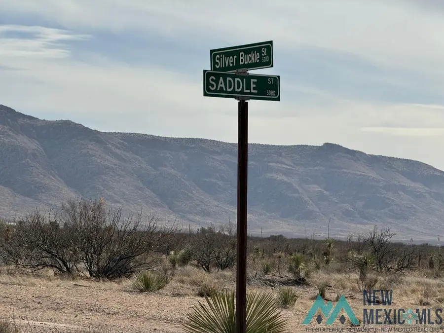 56 Silver Buckle Road, Rodeo, NM 88056 - Image #3