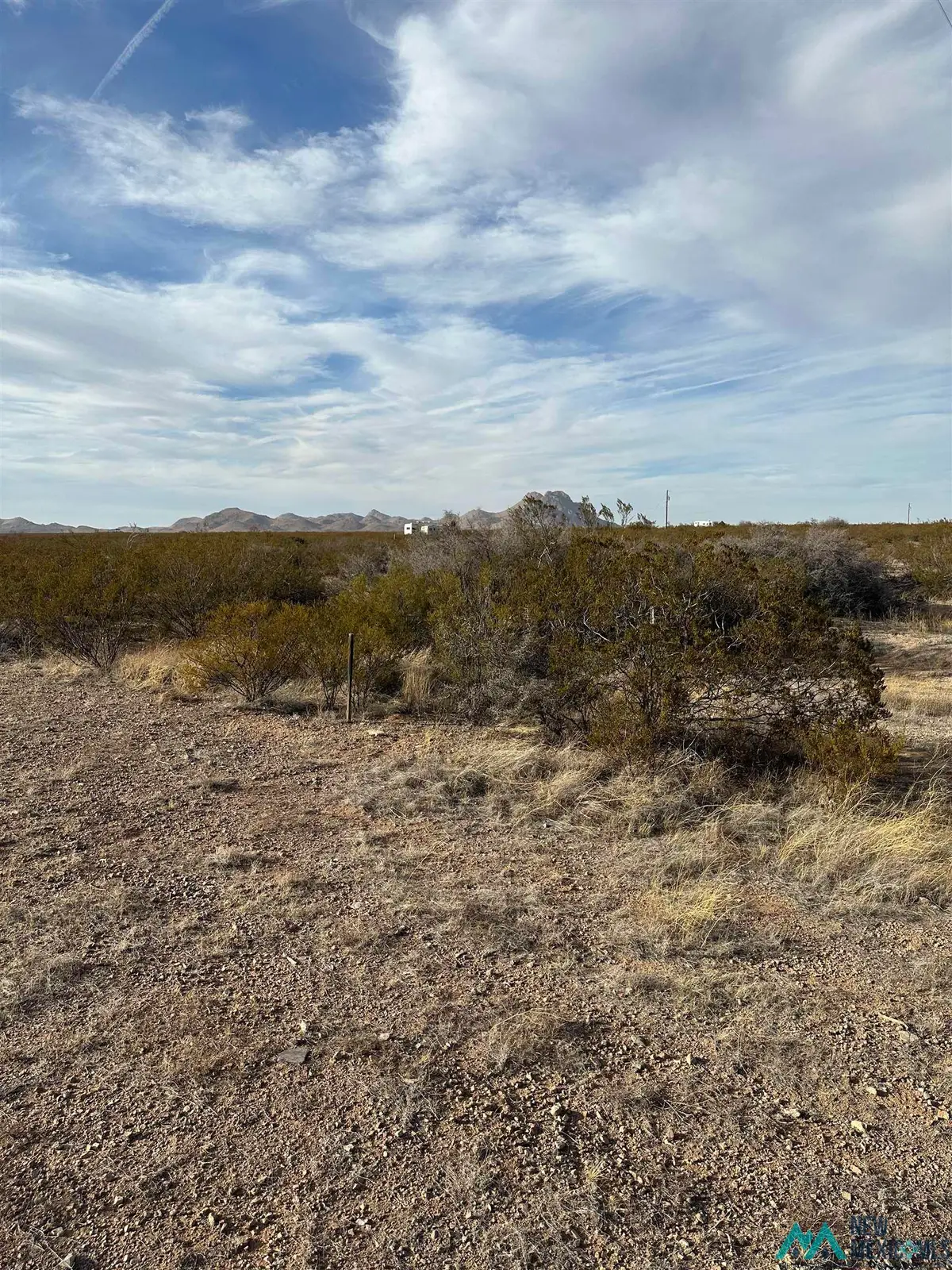XXXX Coyote Lane Lot 19, Columbus, NM 88029 - Image #1