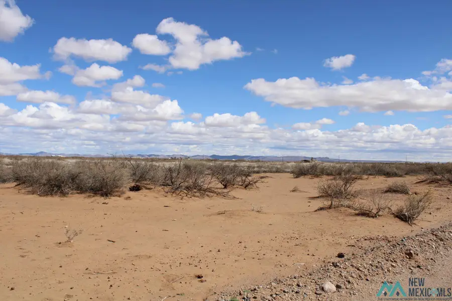 Mallow Rd Se, Deming, NM 88030 - Image #2