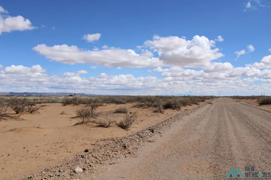 Mallow Rd Se, Deming, NM 88030 - Image #3